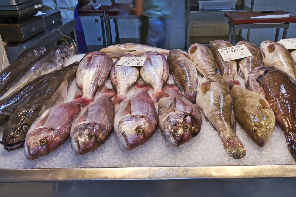 Cherne identificado en un puesto de pescado de un mercado canario; ejemplar sin salar