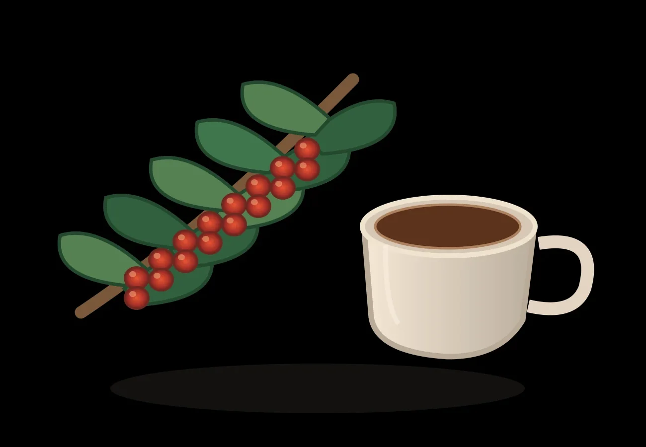 Ilustración de rama de cafeto con cerezas rojas y taza de café, representando el cultivo en el valle de Agaete, fondo negro