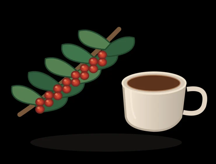 Ilustración de rama de cafeto con cerezas rojas y taza de café, representando el cultivo en el valle de Agaete, fondo negro