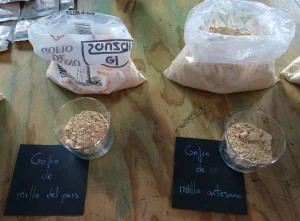 Dos variedades de gofio de millo canario, harina tostada utilizada en la pella