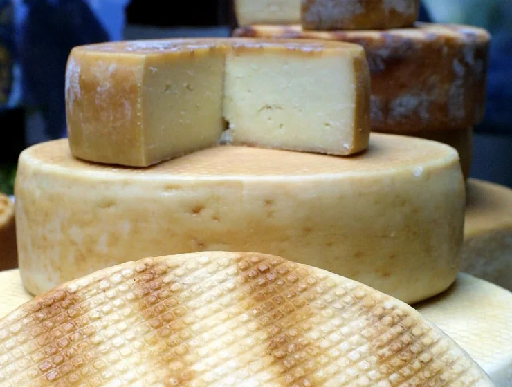 Quesos palmeros enteros de diferentes curaciones y un queso cortado que deja ver su pasta, con bandas del ahumado en la corteza