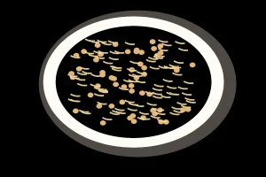 Garbanzos y fideos gruesos incorporados al caldo del rancho canario, ilustración editorial
